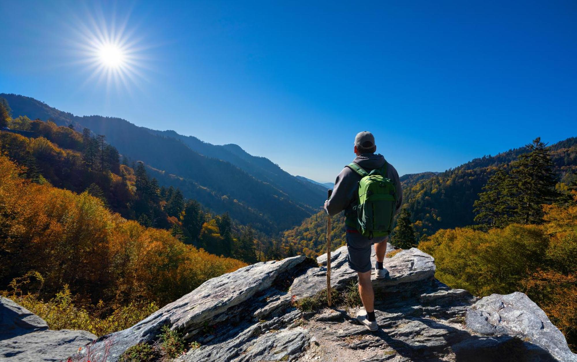 Her Majesty'S Way, Awesome Mtn Views, 1089 Free Tickets Each Paid Day, Dollywood And More Гетлинбург Екстериор снимка