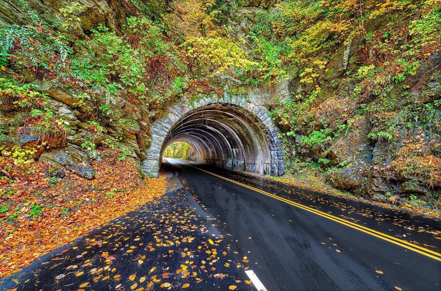 Her Majesty'S Way, Awesome Mtn Views, 1089 Free Tickets Each Paid Day, Dollywood And More Гетлинбург Екстериор снимка