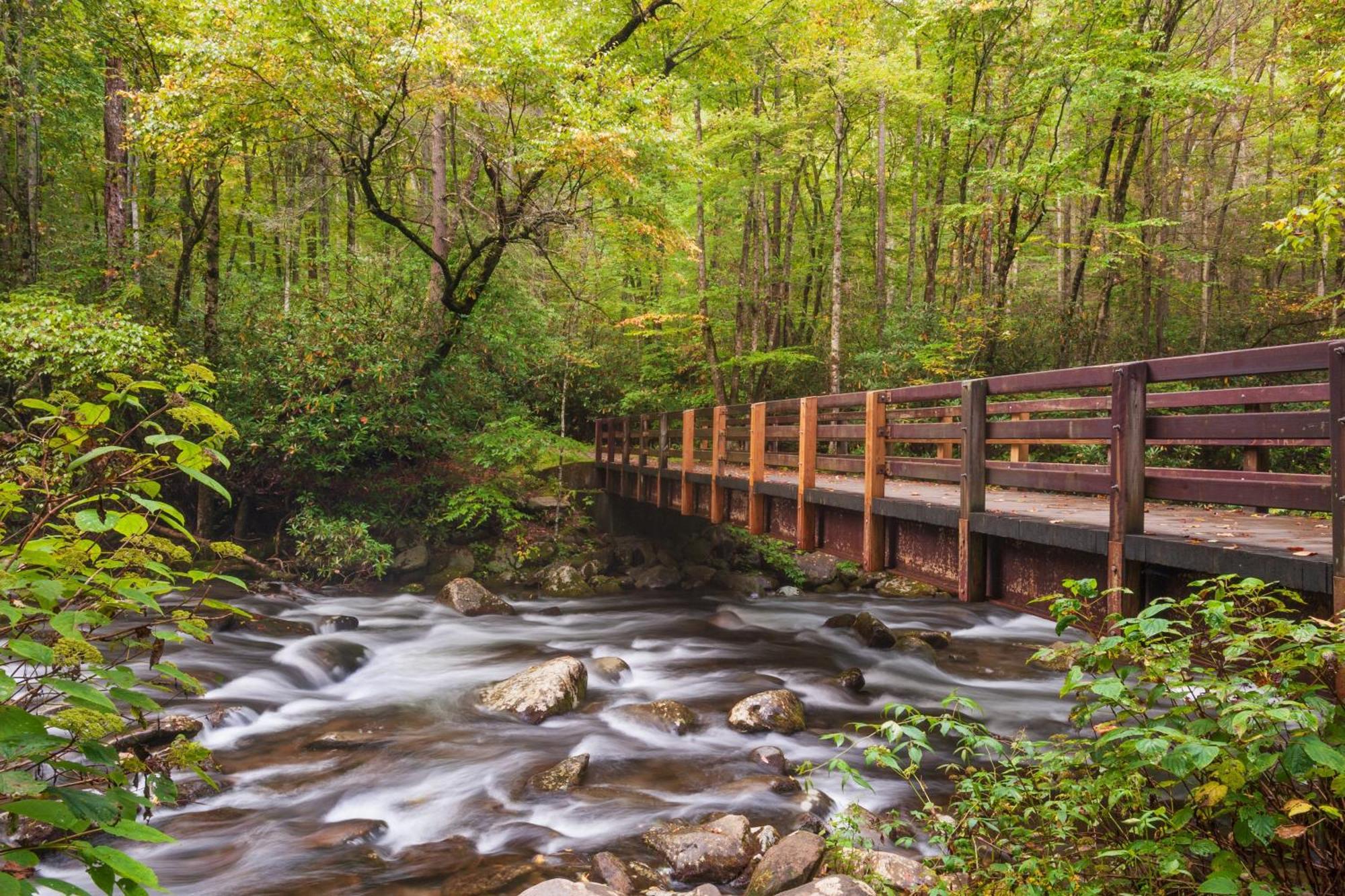 Her Majesty'S Way, Awesome Mtn Views, 1089 Free Tickets Each Paid Day, Dollywood And More Гетлинбург Екстериор снимка